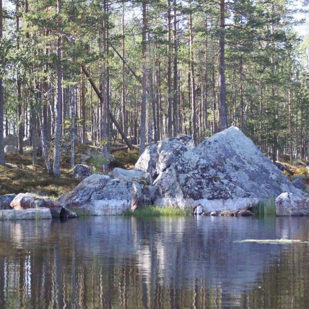 Вилла Hamra Stugby - Nature Adventures Хамра Экстерьер фото